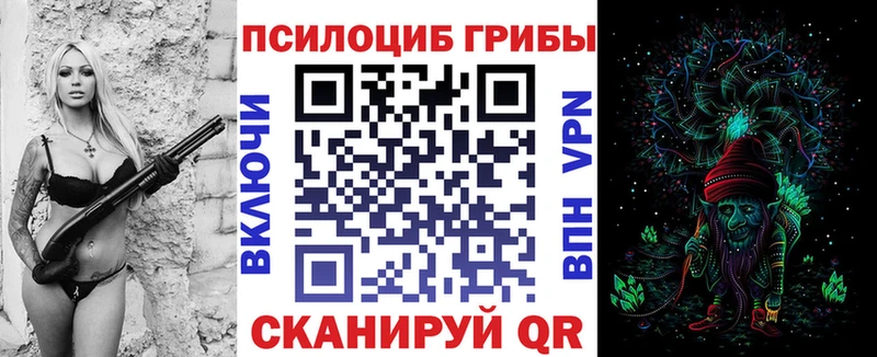 как найти   Волгореченск  Псилоцибиновые грибы ЛСД 