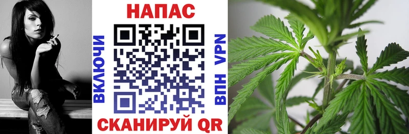 Каннабис план Волгореченск